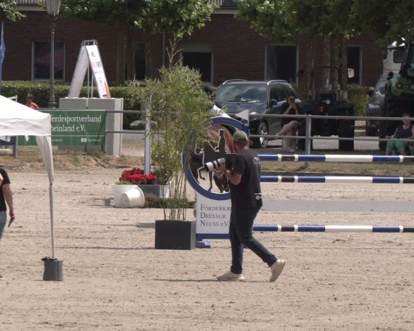 Reitturnier Langenfeld 2025