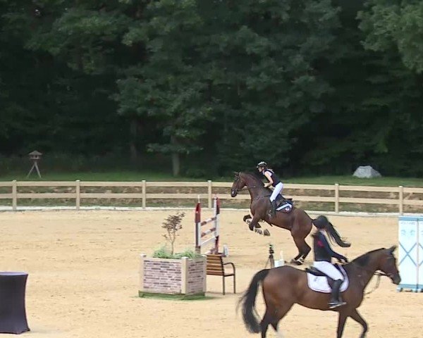 Reitturnier Tiefenhof/Opf. 2025