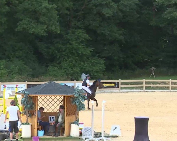 Reitturnier Tiefenhof/Opf. 2025