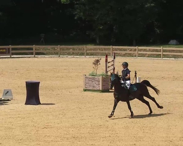 Reitturnier Tiefenhof/Opf. 2025