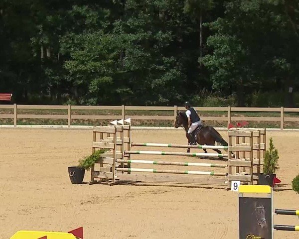 Reitturnier Tiefenhof/Opf. 2025