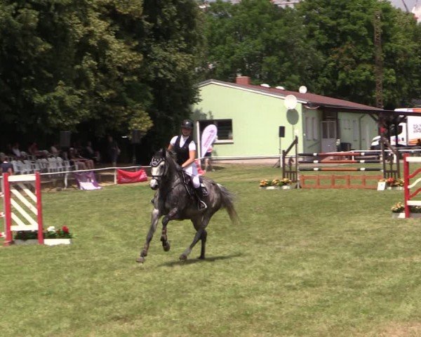 Reitturnier Schwittersdorf-Beesenstedt 2025