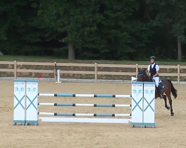 Reitturnier Tiefenhof/Opf. 2025