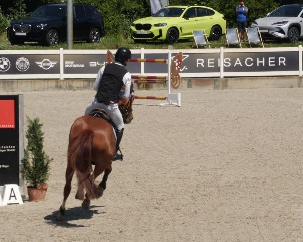 Reitturnier Babenhausen/Schw. 2025