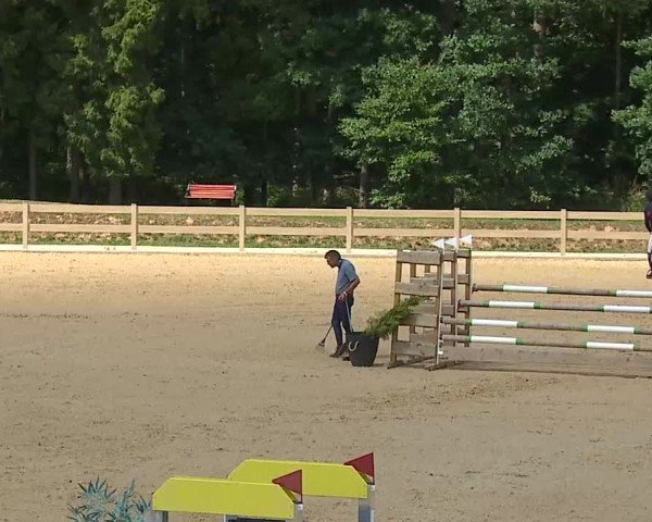 Reitturnier Tiefenhof/Opf. 2025
