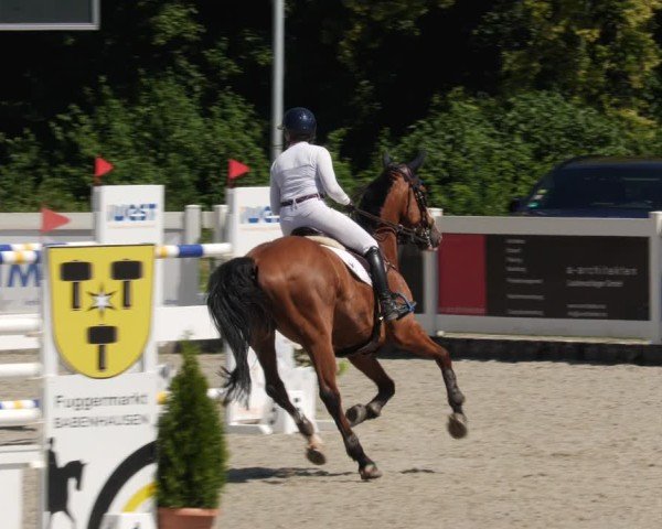 Reitturnier Babenhausen/Schw. 2025