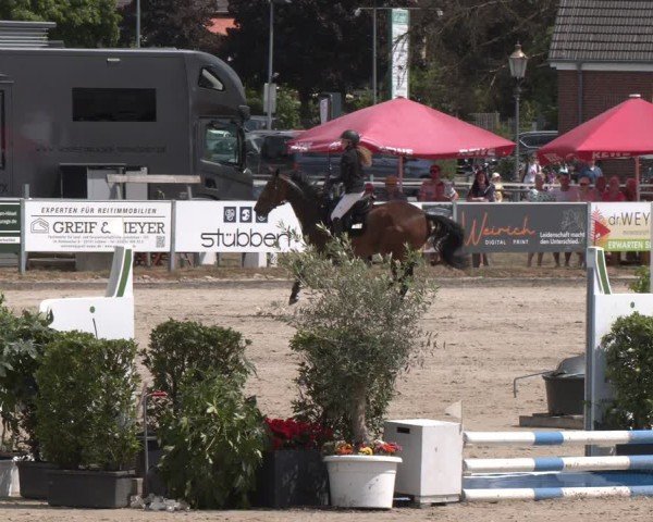 Reitturnier Langenfeld 2025