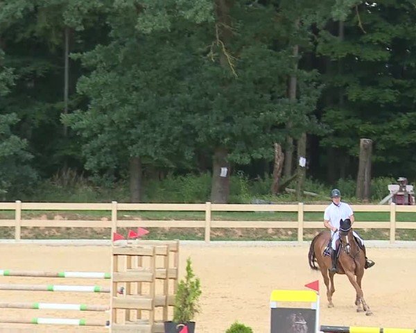 Reitturnier Tiefenhof/Opf. 2025