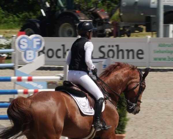 Reitturnier Babenhausen/Schw. 2025