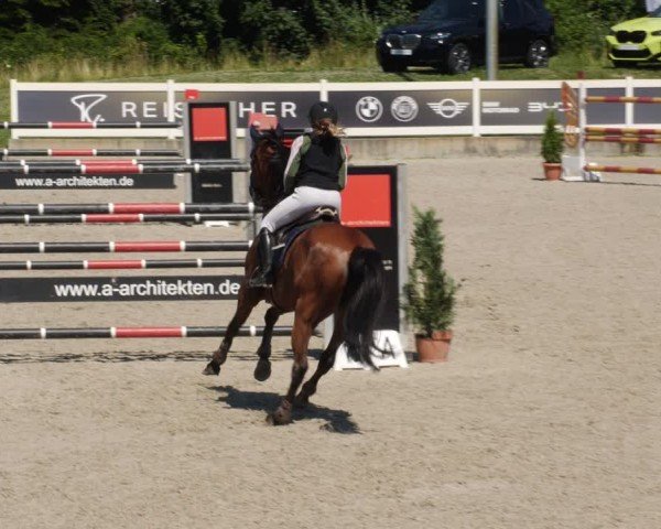 Reitturnier Babenhausen/Schw. 2025