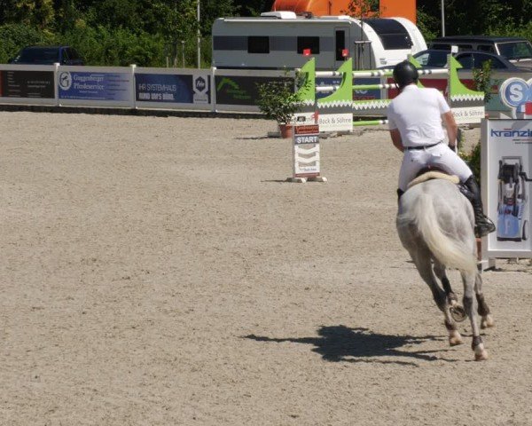 Reitturnier Babenhausen/Schw. 2025