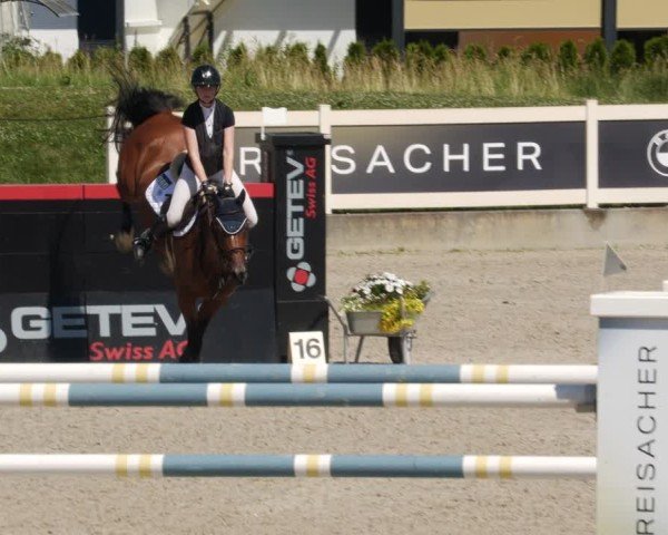 Reitturnier Babenhausen/Schw. 2025