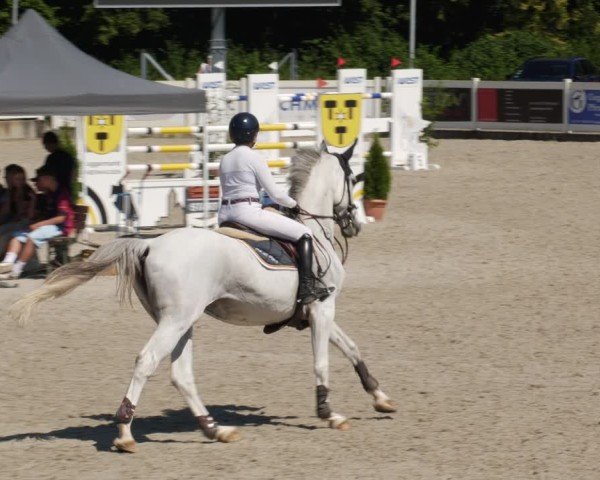 Reitturnier Babenhausen/Schw. 2025