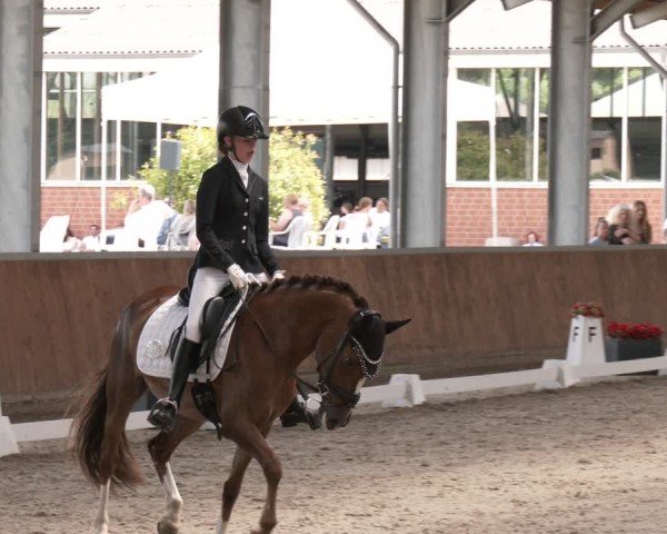Reitturnier Langenfeld 2025