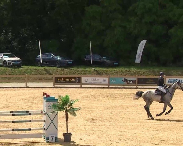 Reitturnier Tiefenhof/Opf. 2025