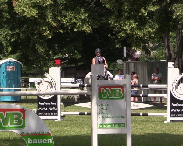 Reitturnier Schwittersdorf-Beesenstedt 2025