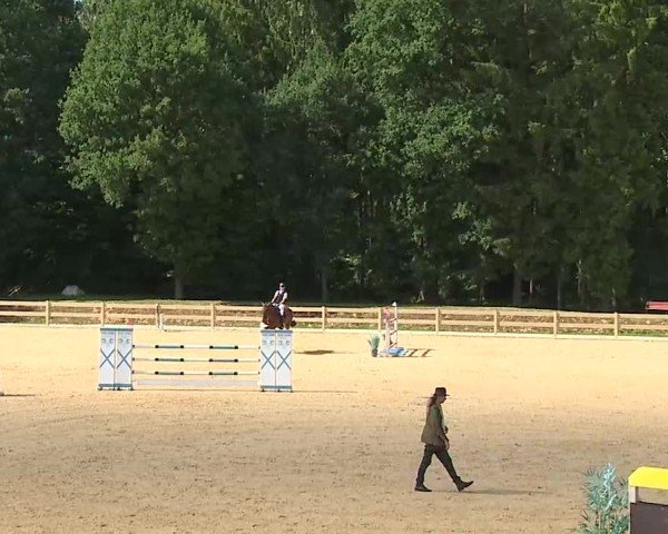 Reitturnier Tiefenhof/Opf. 2025