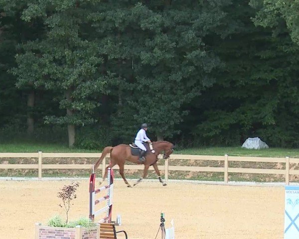 Reitturnier Tiefenhof/Opf. 2025