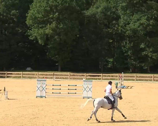 Reitturnier Tiefenhof/Opf. 2025