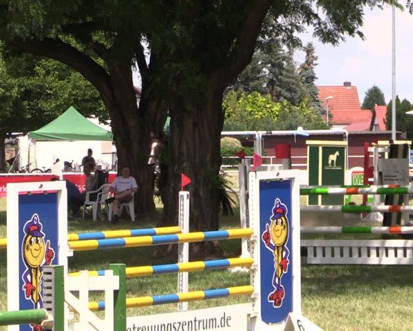 Reitturnier Schwittersdorf-Beesenstedt 2025