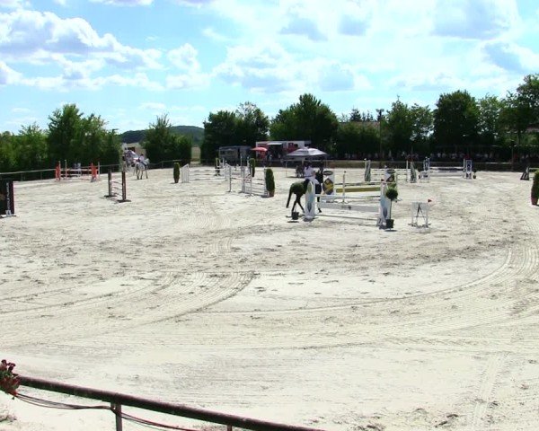 Reitturnier Großbardorf/Ufr. 2025