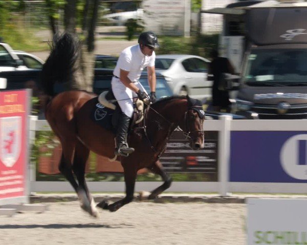 Reitturnier Babenhausen/Schw. 2025