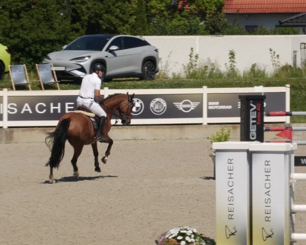 Reitturnier Babenhausen/Schw. 2025
