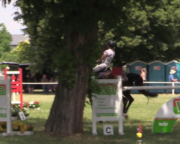 Reitturnier Schwittersdorf-Beesenstedt 2025