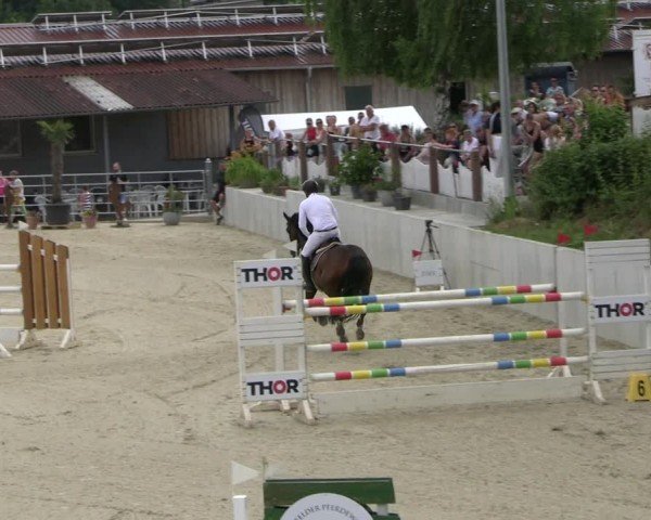 Reitturnier Uder, Reitanlage Kobold 2025