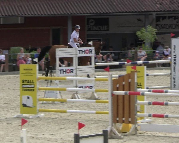 Reitturnier Uder, Reitanlage Kobold 2025