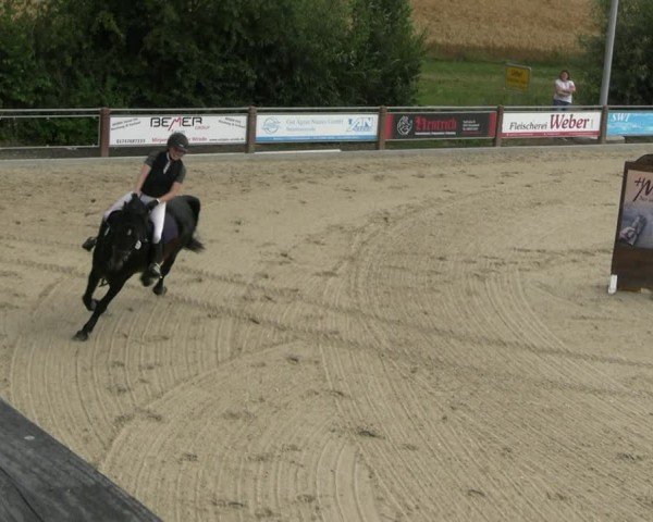 Reitturnier Uder, Reitanlage Kobold 2025