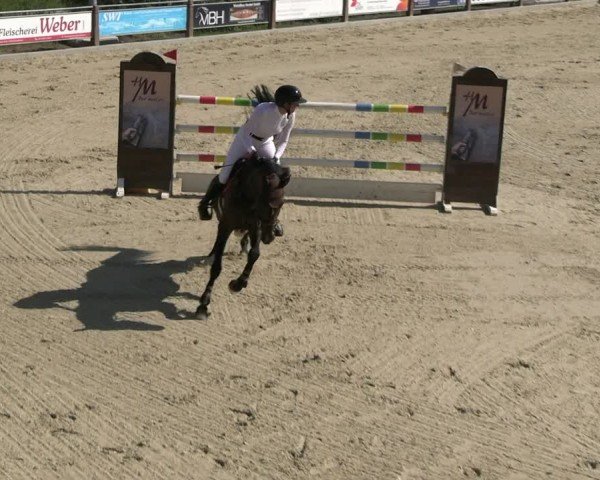Reitturnier Uder, Reitanlage Kobold 2025