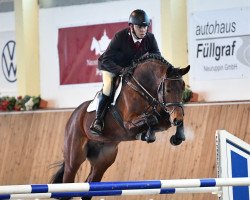 stallion Lirano (Holsteiner, 2016, from Levisto Z)