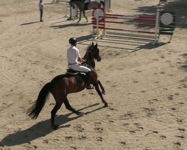 Reitturnier Uder, Reitanlage Kobold 2025
