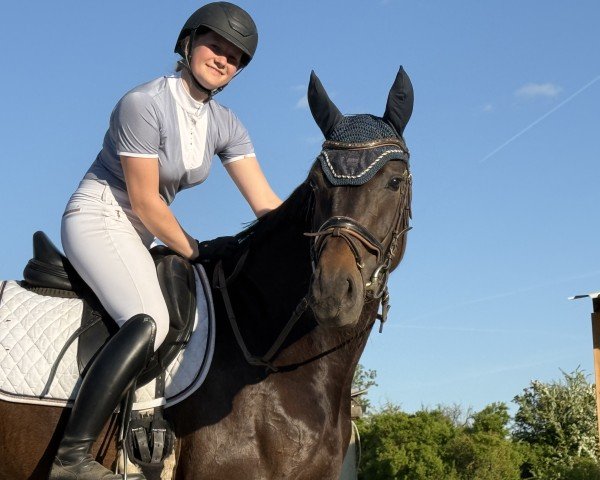horse For Fantasy (Oldenburg, 2021, from For Romance II)