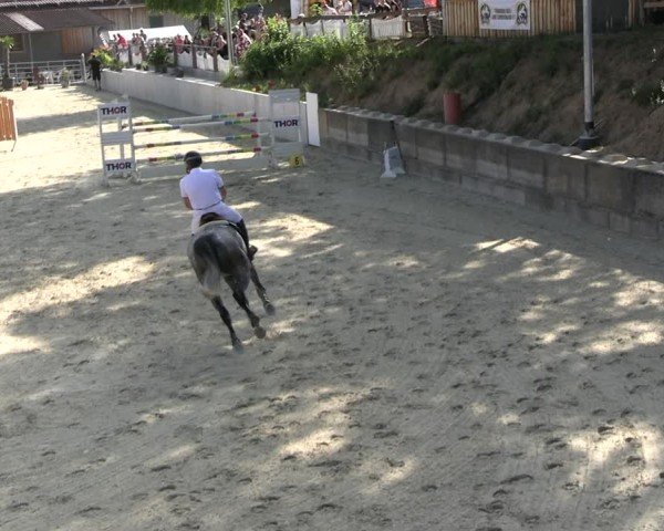 Reitturnier Uder, Reitanlage Kobold 2025