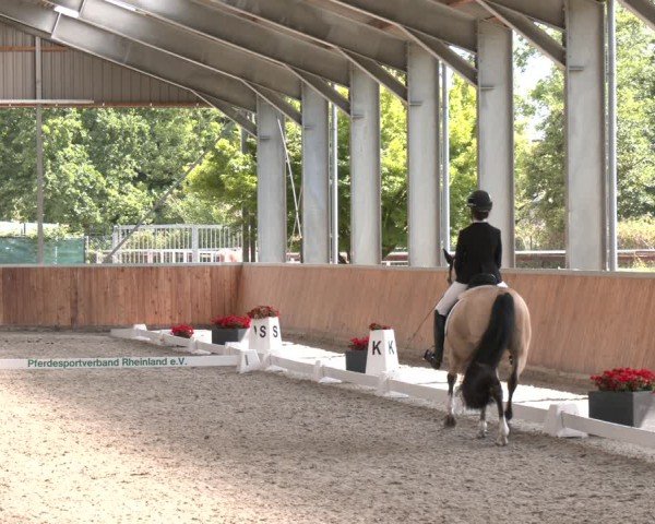 Reitturnier Langenfeld 2025
