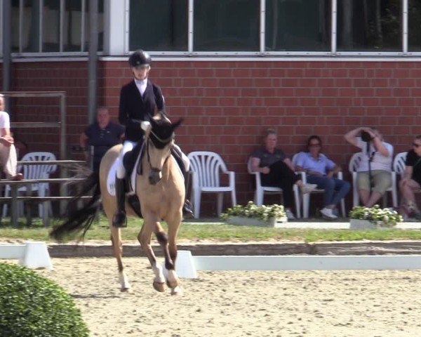 Reitturnier Langenfeld 2025
