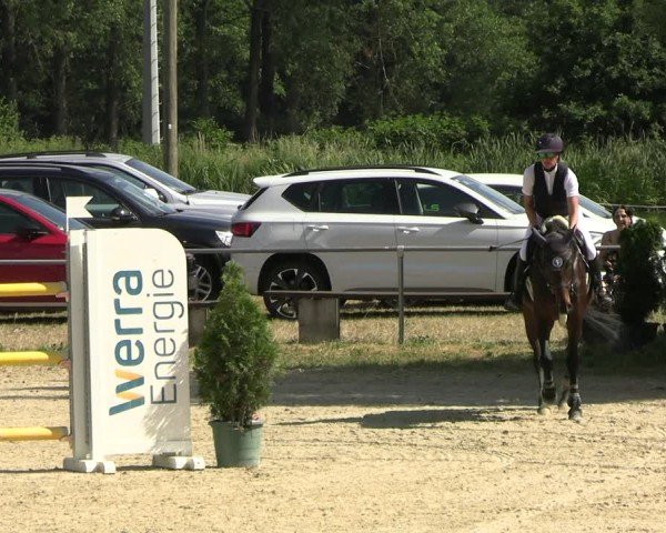 Reitturnier Bad Liebenstein/Sorga 2025