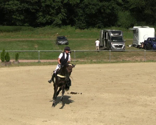 Reitturnier Bad Liebenstein/Sorga 2025