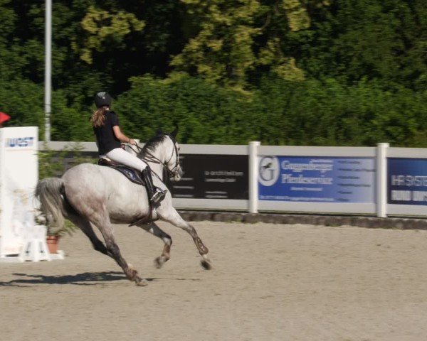 Reitturnier Babenhausen/Schw. 2025