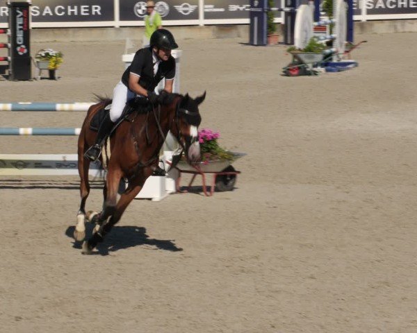 Reitturnier Babenhausen/Schw. 2025
