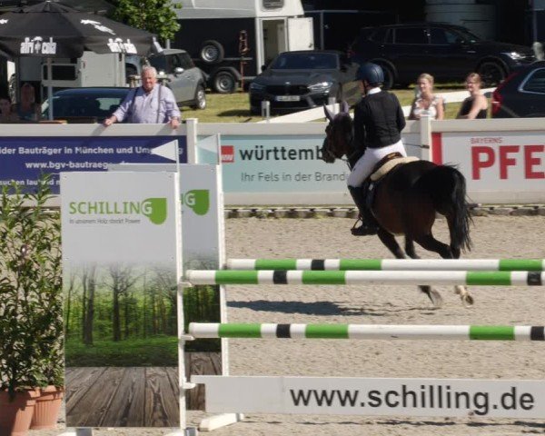 Reitturnier Babenhausen/Schw. 2025