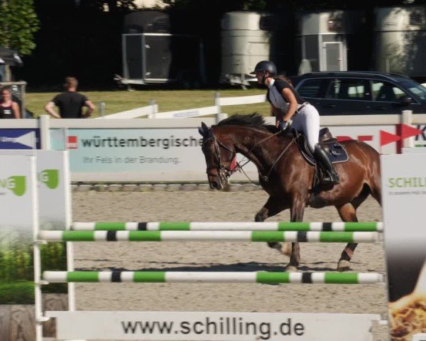 Reitturnier Babenhausen/Schw. 2025