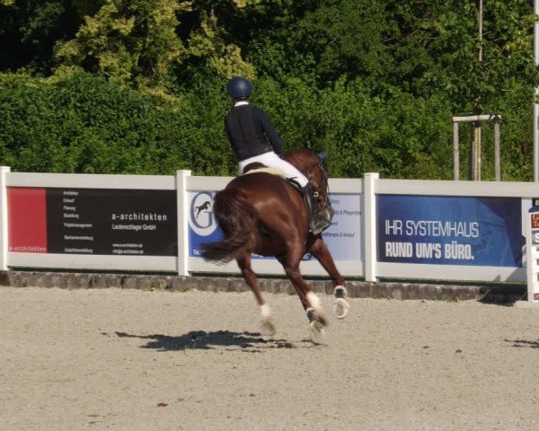 Reitturnier Babenhausen/Schw. 2025