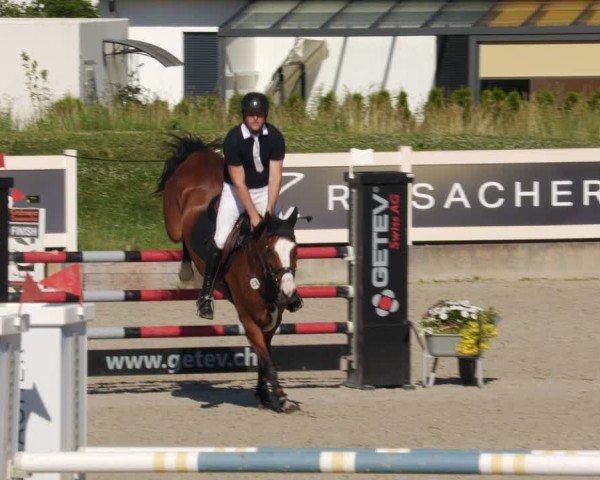 Reitturnier Babenhausen/Schw. 2025