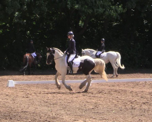 Reitturnier Schwittersdorf-Beesenstedt 2025