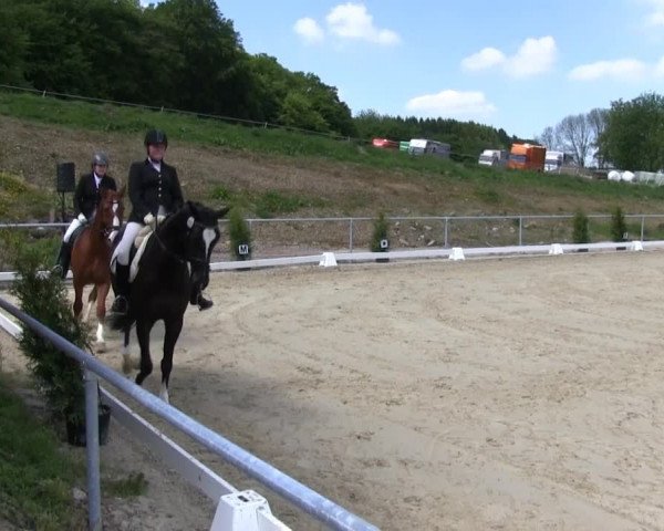 Großes Reit- und Springturnier Bühren-Breckerfeld 2014