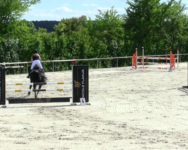 Reitturnier Großbardorf/Ufr. 2025