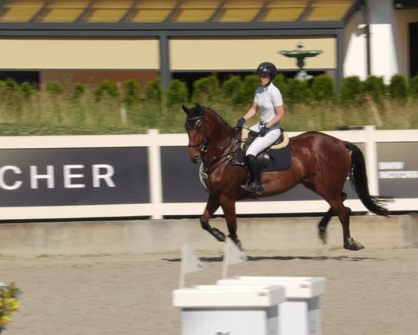 Reitturnier Babenhausen/Schw. 2025